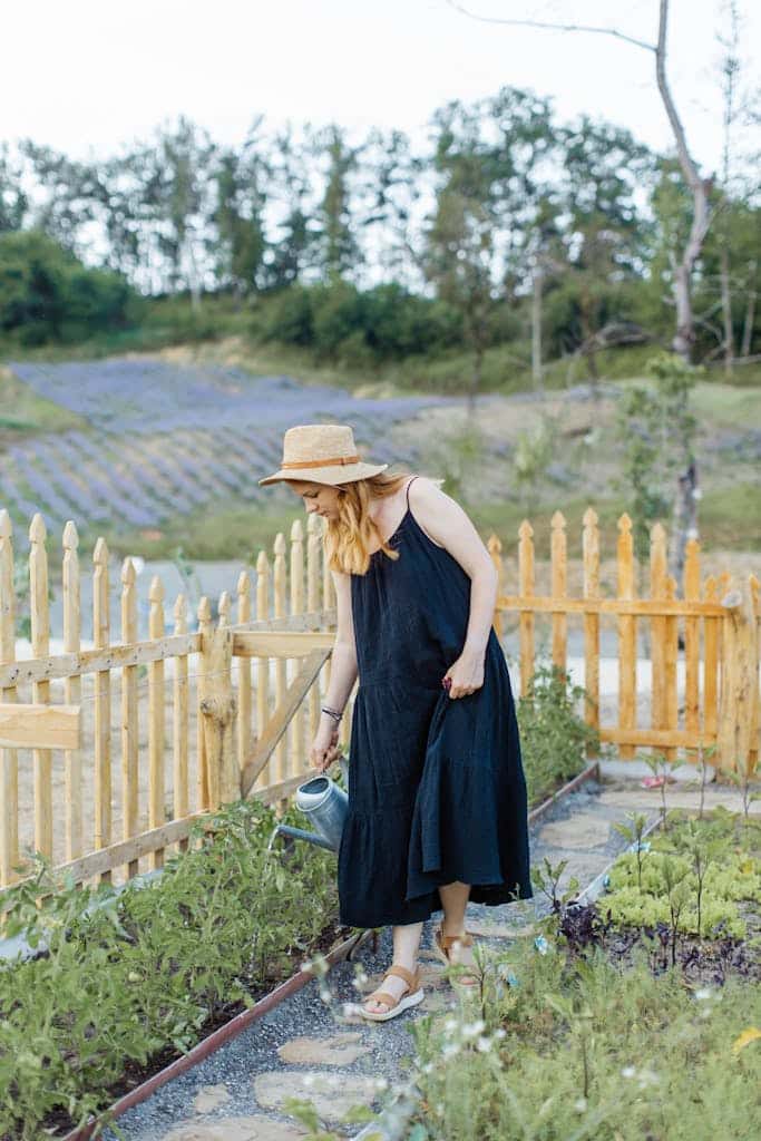 Woman watering a garden outdoors in the early morning sunlight near a wooden fence.